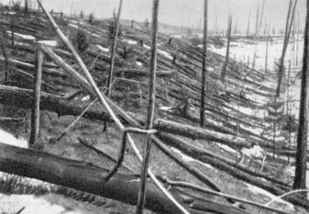 Так выглядел в 1930 году лесной вывал, вызванный катастрофой 30 июня 1908 г.
